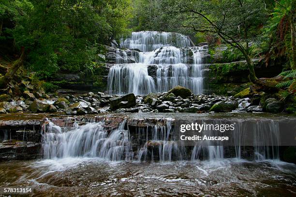 Liffey Falls, Liffey Falls State Reserve, Great Western Tiers, Tasmania, Australia.