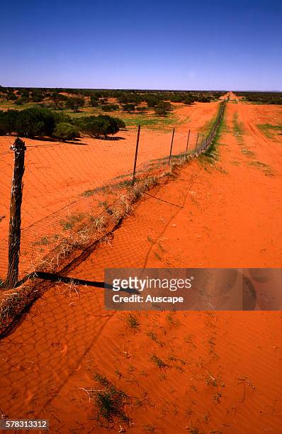 Dingo Fence, Canis dingo, preventing Dingos entering NSW from Queensland, Border of New South Wales with Queensland, Australia.