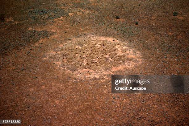 Aerial, rabbit warren, between Wilcannia and Hillston, Western New South Wales, Australia.