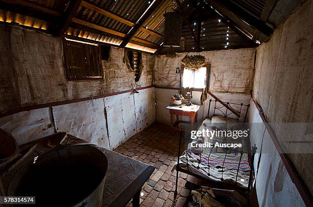 Interior of a former miner's cottage in a ghost town, Gwalia was a gold-mining town, Underground mining began in 1897 at the Sons of Gwalia mine that...
