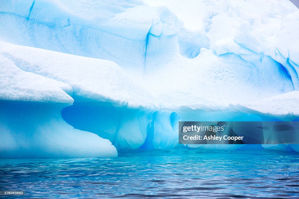 Icebergs in Wilhelmina Bay off Graham Land on the Antarctic Peninsular, which is one of the fastest warming places on the planet.