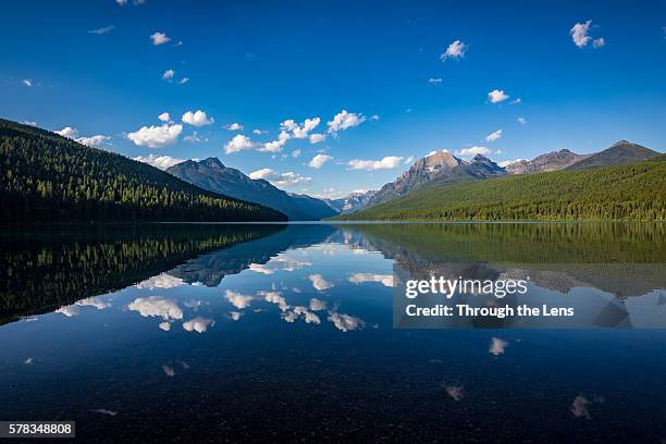 reflection of clouds at bowman lake - lac bowman photos et images de collection