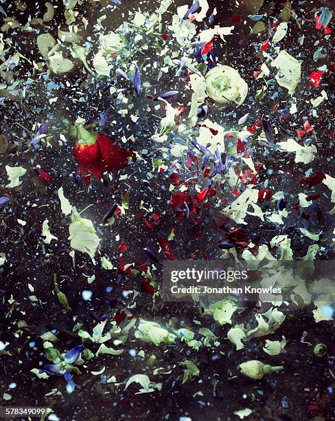 5,091 Flower Burst Stock Photos, High-Res Pictures, and Images - Getty ...