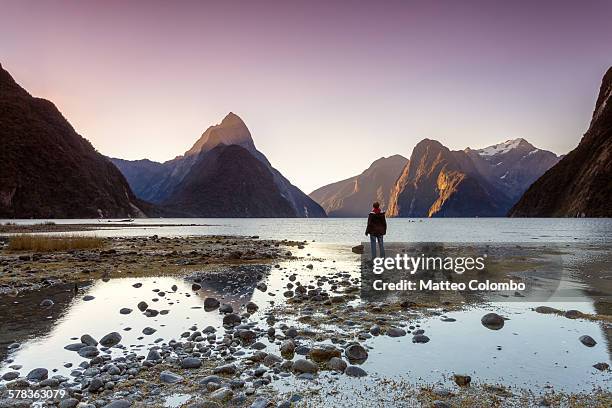 man looking at view, milford sound, new zealand - new zealand landscape stock pictures, royalty-free photos & images