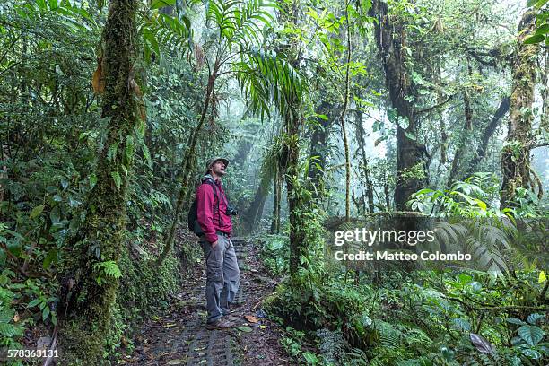 man in the monteverde cloud forest, costa rica - foresta pluviale di monteverde foto e immagini stock