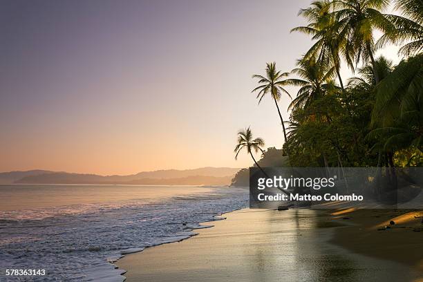 sunset on palm fringed beach, costa rica - costa rica stock pictures, royalty-free photos & images