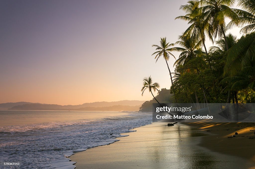 Sunset on palm fringed beach, Costa Rica