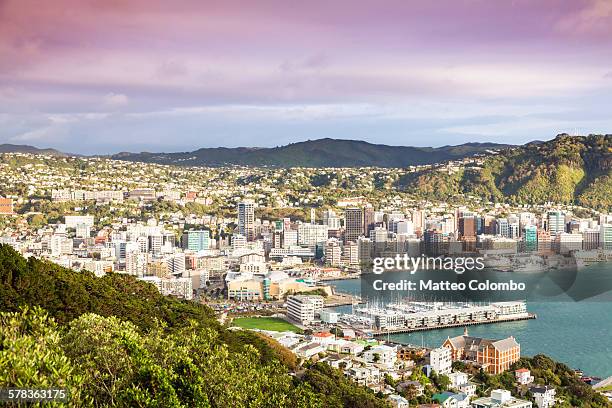 wellington city center and harbour at sunrise - wellington new zealand harbour stock pictures, royalty-free photos & images