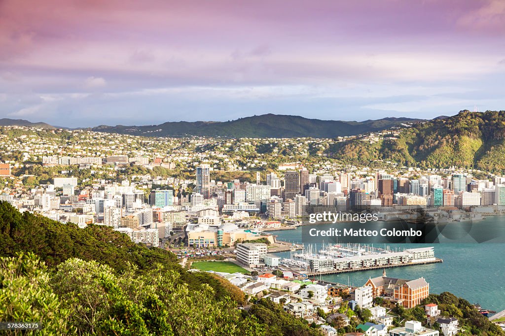 Wellington city center and harbour at sunrise