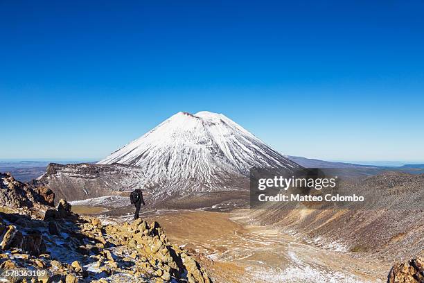 hiker looking at mt. ngauruhoe, tongariro crossing - mt ngauruhoe stockfoto's en -beelden