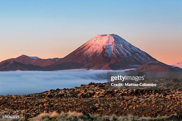 scenic landscape with ngauruhoe volcano at sunset - new zealand volcano stock pictures, royalty-free photos & images