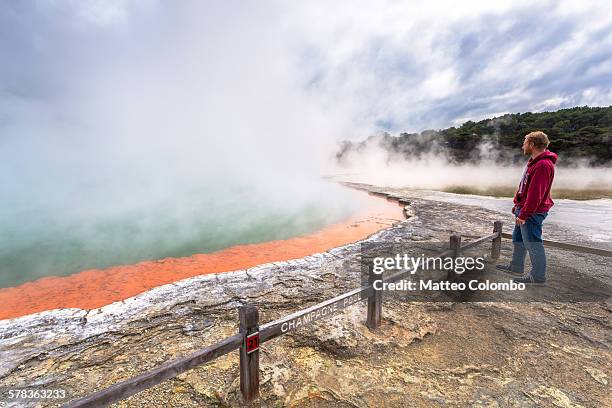 man looking at champagne thermal pool, rotorua - rotorua stock pictures, royalty-free photos & images