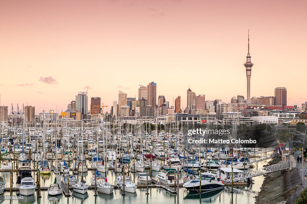 Auckland city and harbour at sunset, New Zealand