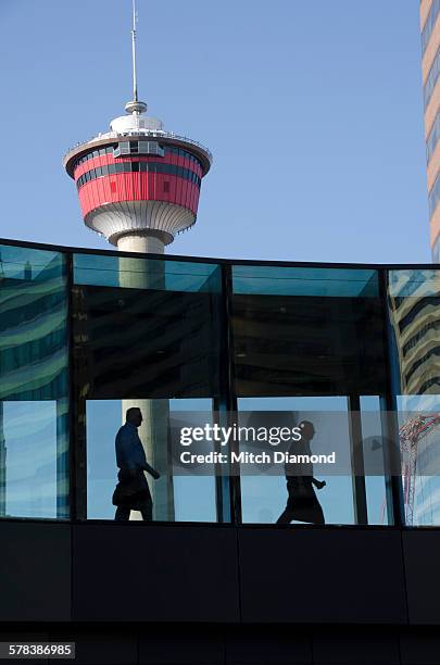 calgary downtown tower - downtown calgary stock pictures, royalty-free photos & images