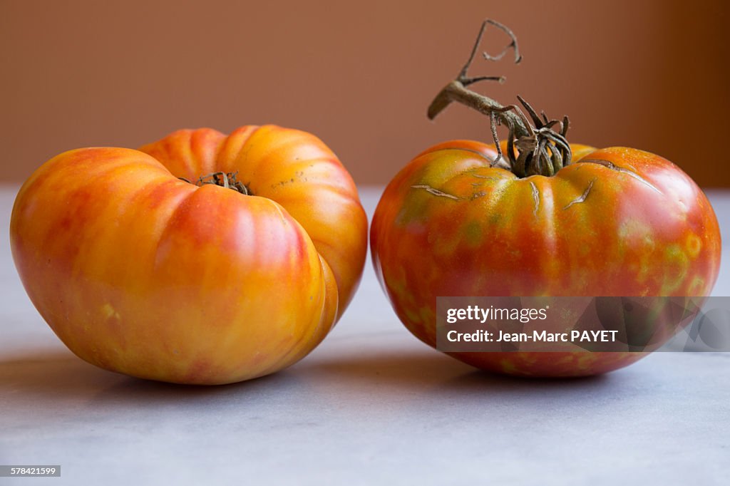 True organic tomatoes "Beef Heart"