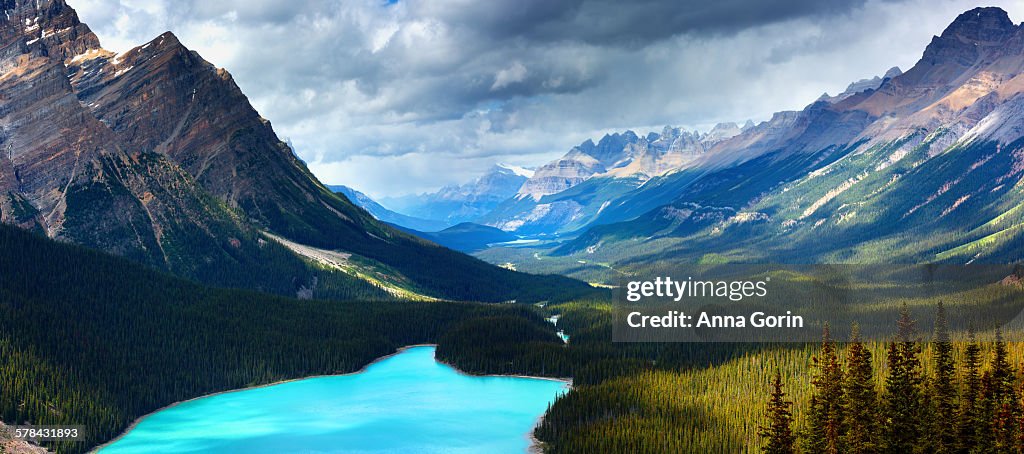 Peyto lake along Icefields Parkway, summer