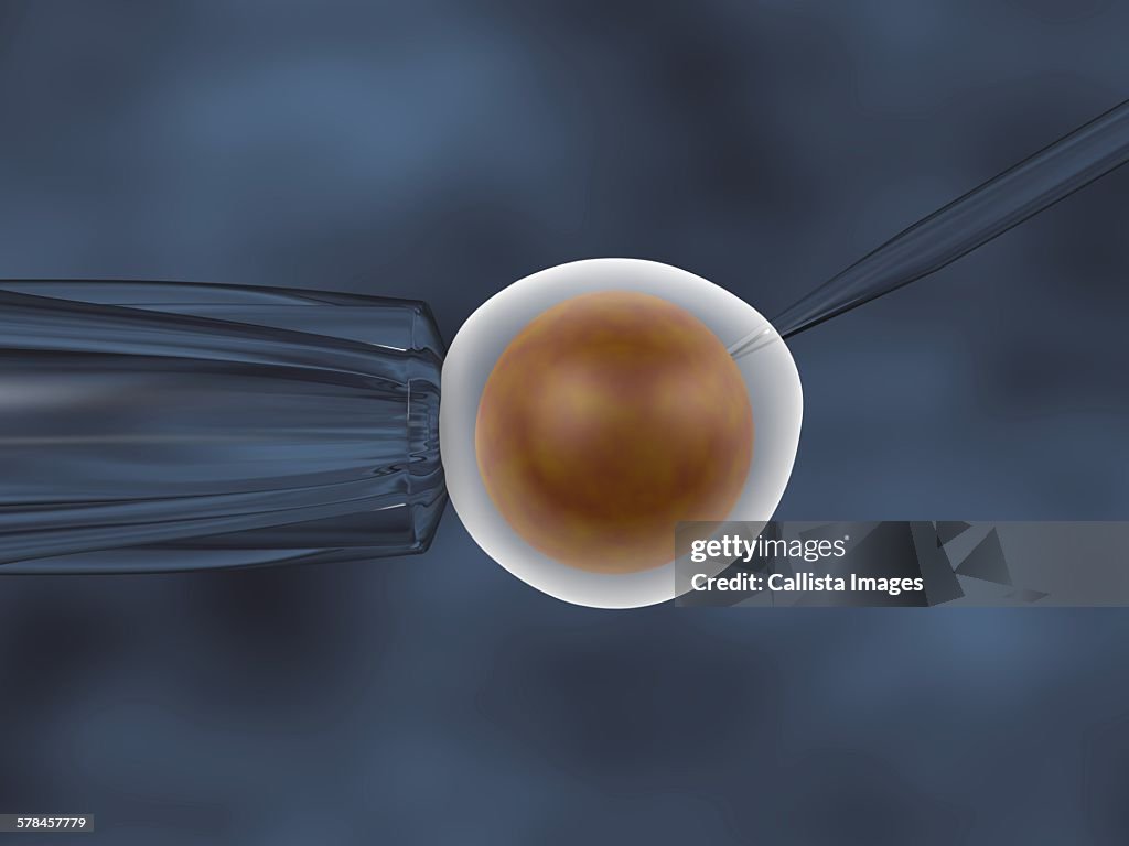 In vitro fertilization. 3D illustration of an in vitro cloning assay