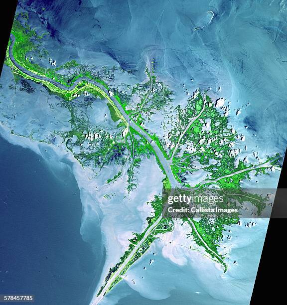 active delta front of the mississippi. this image was acquired on may 24, 2001 by the advanced spaceborne thermal emission and reflection radiometer (aster) on nasas terra satellite - mississippi stock-fotos und bilder