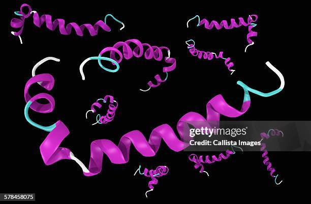 stockillustraties, clipart, cartoons en iconen met amyloid beta (abeta). it is as a component of the amyloid plaques found in alzheimers disease - protein