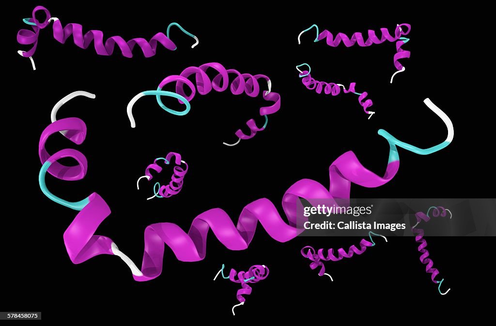 Amyloid beta (Abeta). It is as a component of the amyloid plaques found in Alzheimers disease