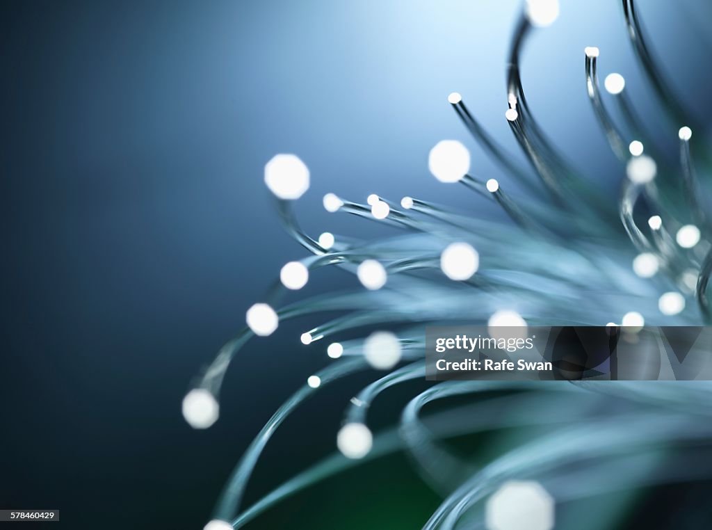 Bundles of illuminated optical fibres used to carry high volumes of data