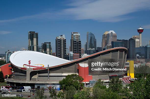 saddledome stadium in calgary - downtown calgary stock pictures, royalty-free photos & images