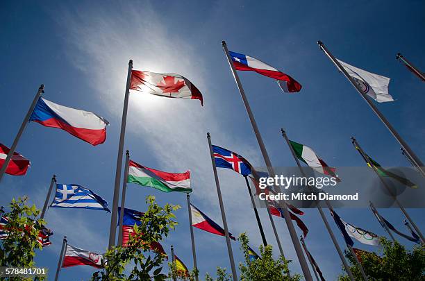 calgary olympic flags - olympische spiele stock-fotos und bilder