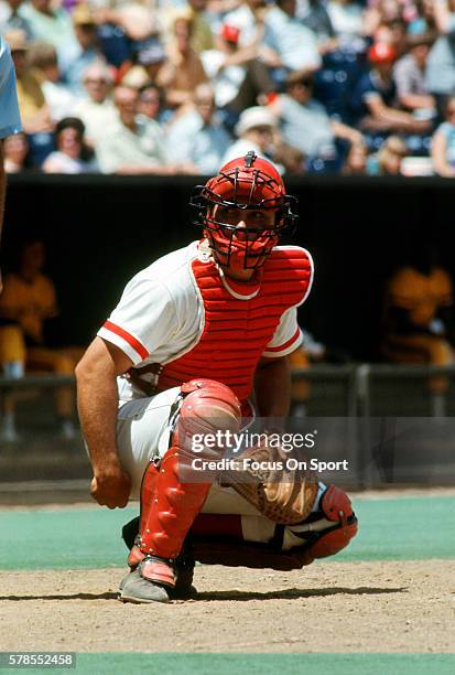 Johnny Bench of the Cincinnati Reds looks on from his position during an Major League Baseball game circa 1973 at Riverfront Stadium in Cincinnati,...