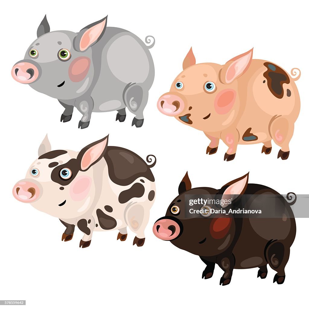 Cuatro Cerdos De Dibujos Animados Manchados De Diferentes Colores  Ilustración de stock - Getty Images