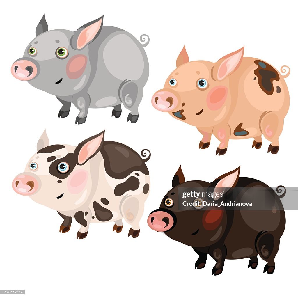 Cuatro Cerdos De Dibujos Animados Manchados De Diferentes Colores Ilustración de stock - Getty Images Cuatro Cerdos De Dibujos Animados Manchados De Diferentes Colores Ilustración de stock - Getty Images