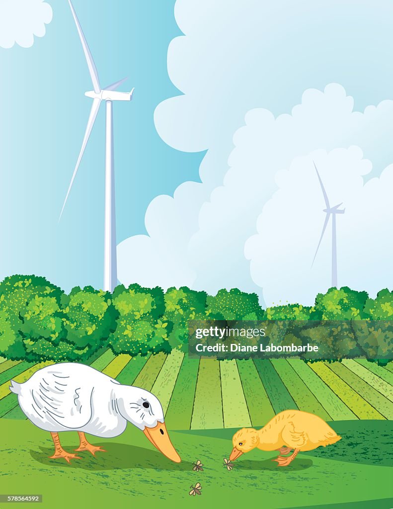 Duck And Duckling Eating Bugs Outside On A Farm High-Res Vector Graphic - Getty Images Duck And Duckling Eating Bugs Outside On A Farm High-Res Vector Graphic - Getty Images