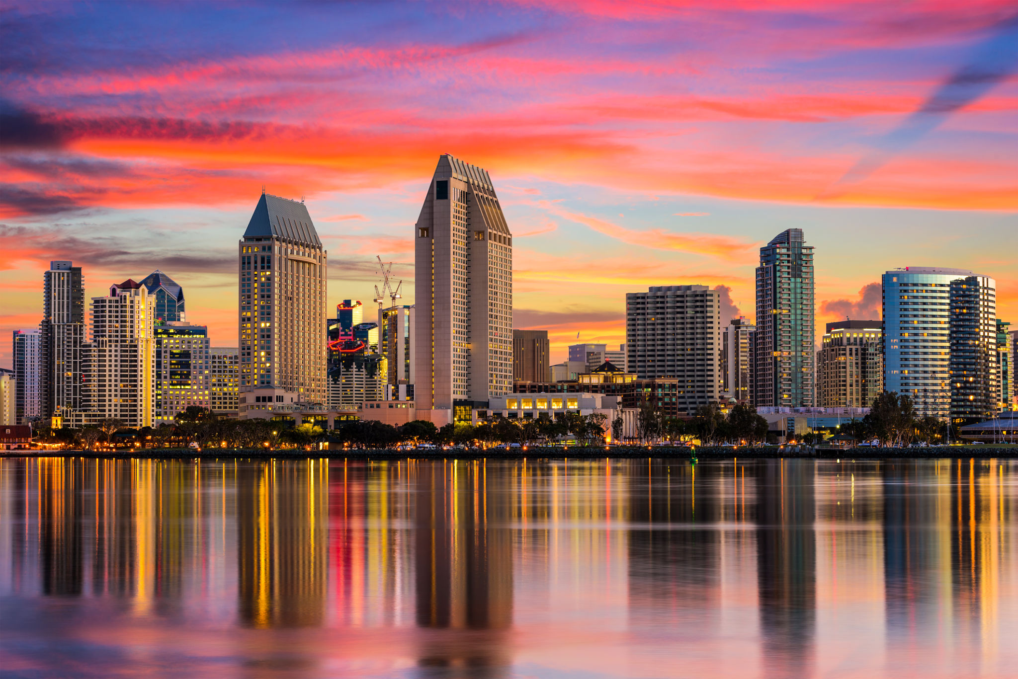 san diego business
