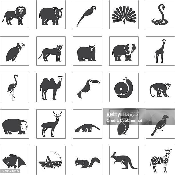 animals icons set - rhinoceros silhouette stock illustrations