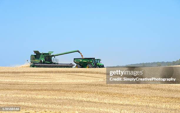 john deere combine harvesting wheat - john deere bildbanksfoton och bilder