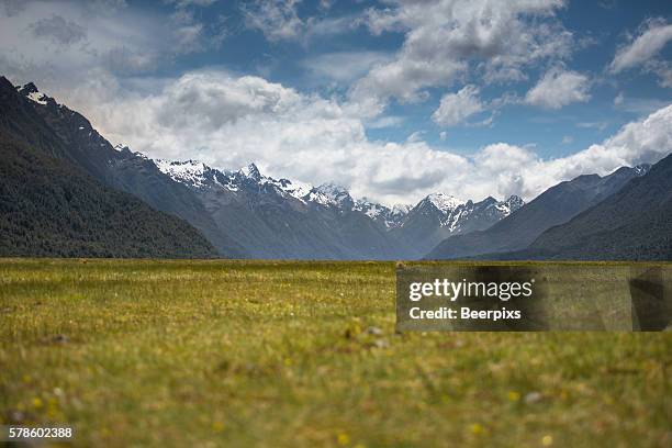 idylic landscape fresh green meadows and mountains cover with snow on top, new zealand. - otago landscape stock pictures, royalty-free photos & images