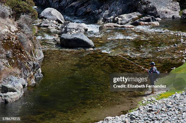 trout fishing - merida venezuela stock pictures, royalty-free photos & images