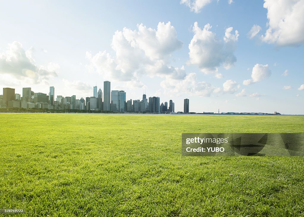 Urban lawn