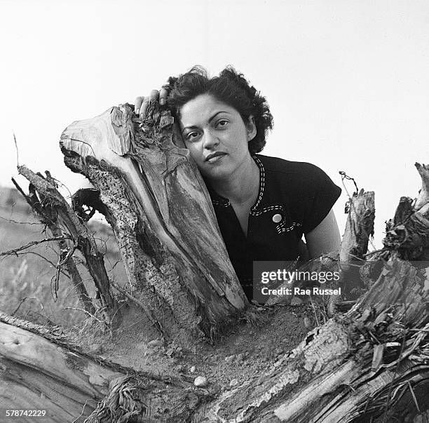 Russel Rae 99 Arc0003120 Stock Photos, High-Res Pictures, and Images - Getty Images