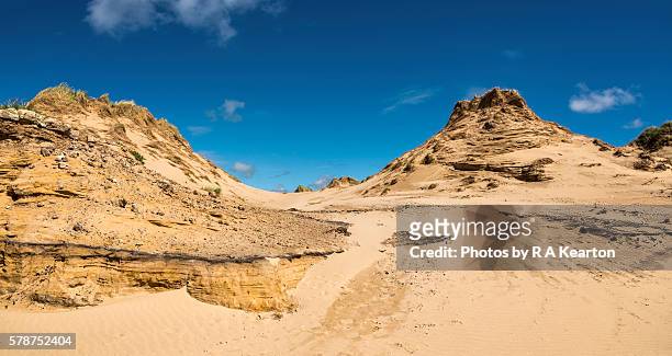 sand dunes at formby point, merseyside, england - merseyside bildbanksfoton och bilder