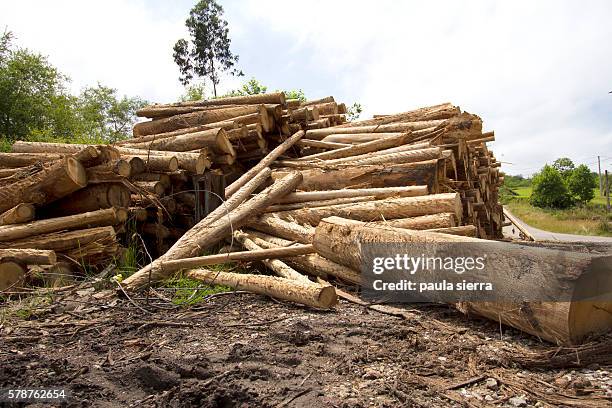 logs - houtstapel stockfoto's en -beelden