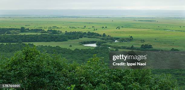 kushiro wetlands national park from above, hokkaido - kushiro stock pictures, royalty-free photos & images