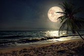 beach and full moon