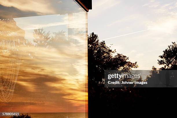 Tree Reflection In Window Photos and Premium High Res Pictures - Getty ...