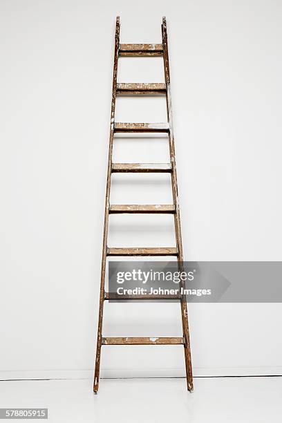 ladder against white wall - stege bildbanksfoton och bilder