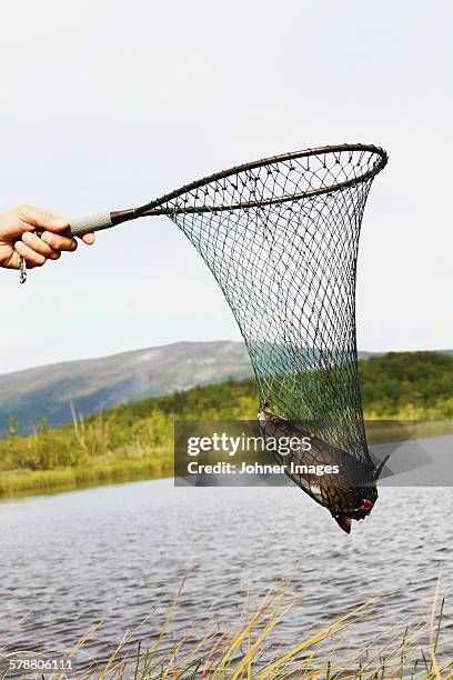 hand holding net with fish - fischereinetz stock-fotos und bilder