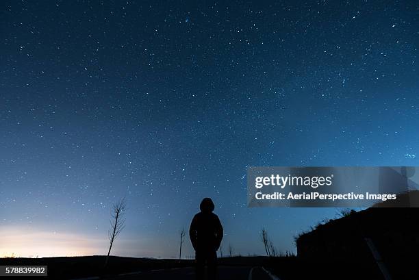 man under sky in starry night - astrónomo fotografías e imágenes de stock