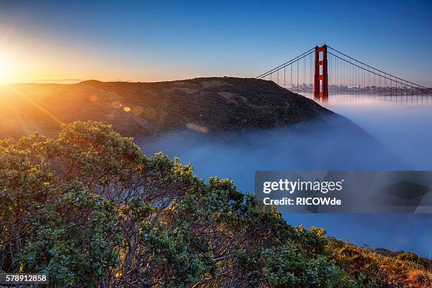 golden gate bridge, san francisco, usa - golden gate bridge city fog stock-fotos und bilder