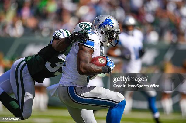 Detroit Lions wide receiver Jeremy Ross and New York Jets cornerback Antonio Allen during the first half of a NFL matchup between the Detroit Lions...