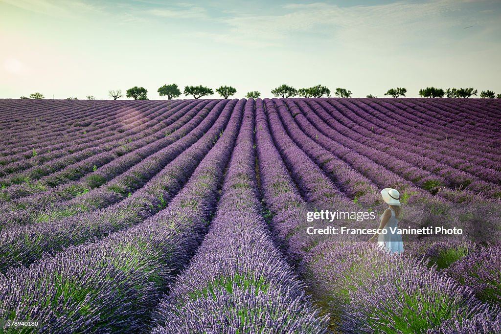 Woman in white in a lavender field.