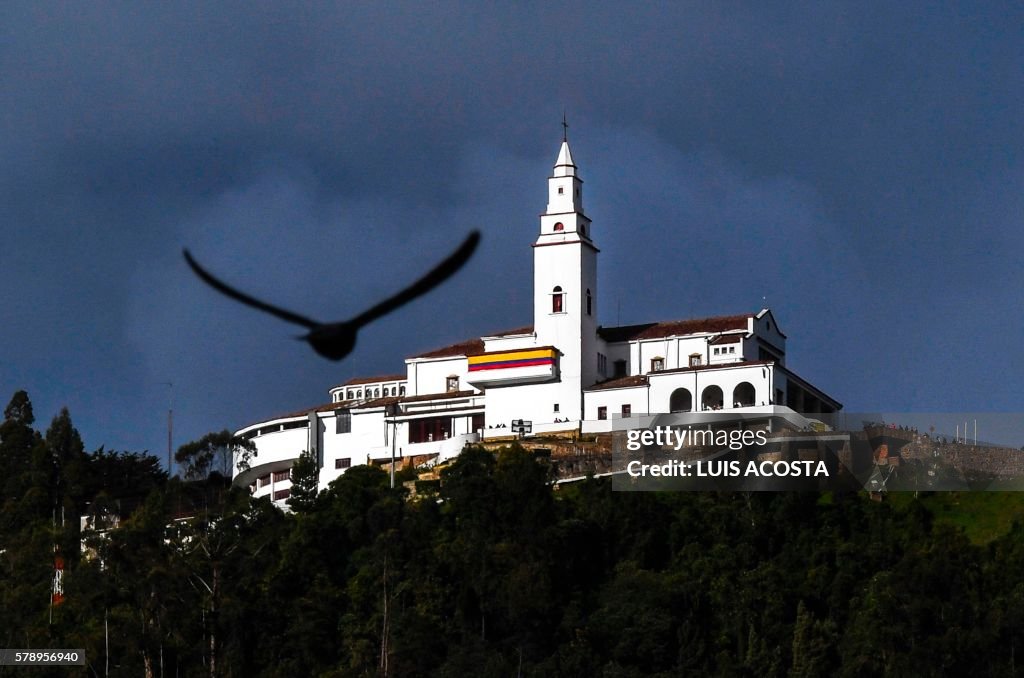 COLOMBIA-FEATURE-PIGEON